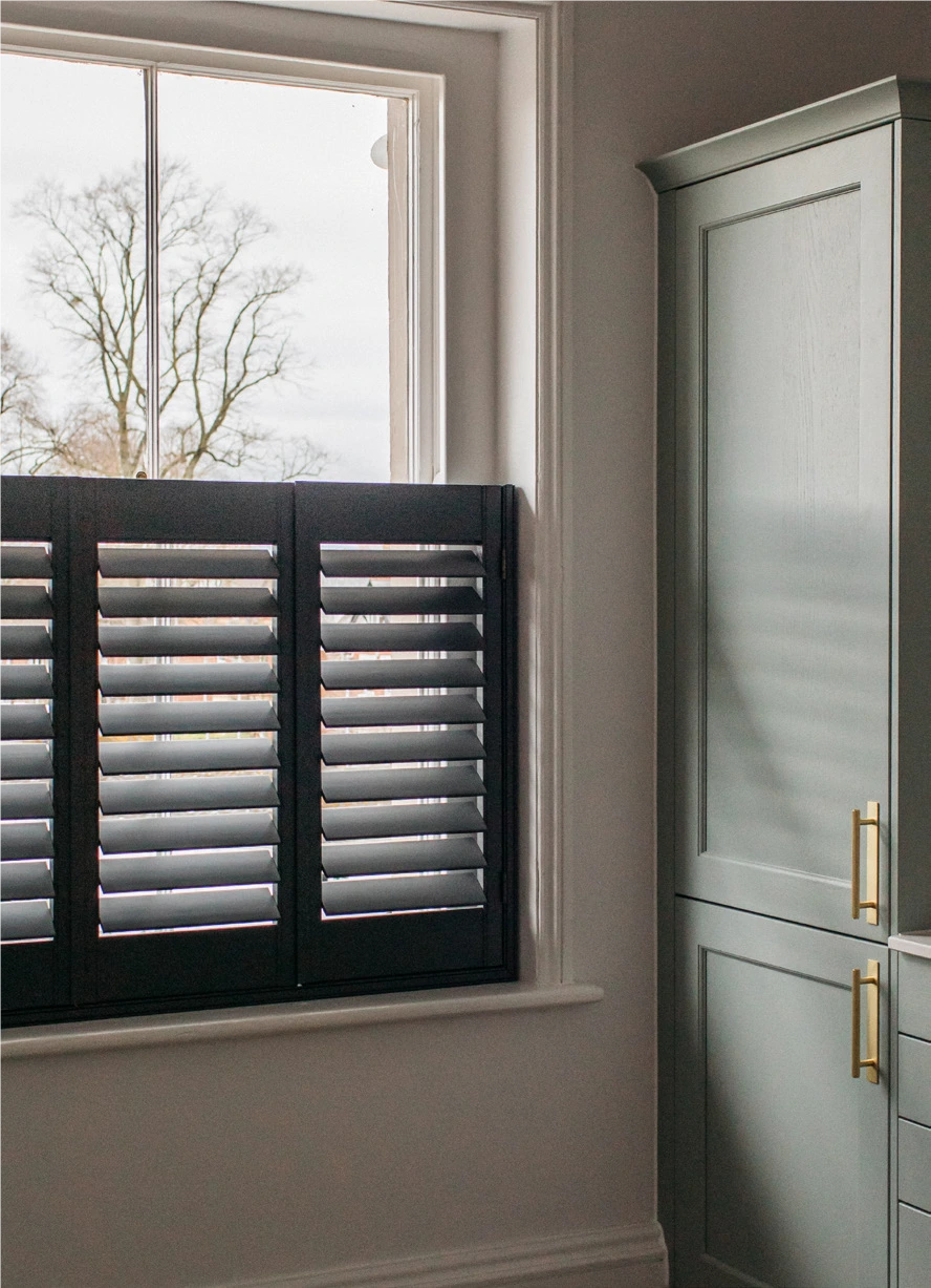 Paulownia, Custom Paint. Paulownia, Custom Paint.